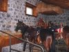 mount_etna_riding2